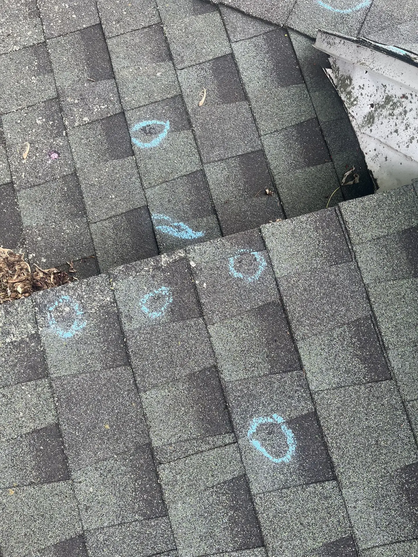 Asphalt Shingle With Hail Damage