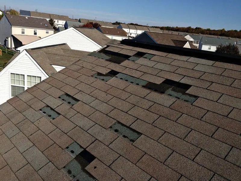 Wind Damage